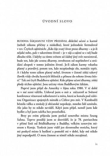 Náhled Zenový kompas