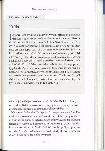 Náhled Krátký návod, jak udělat psa šťastným - 98 základních tipů a technik