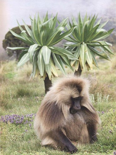 Náhled Úchvatné světové cyklistické trasy