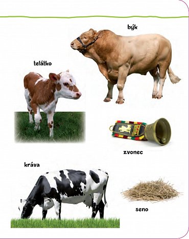 Náhled Podívej! Co je to? Život na statku