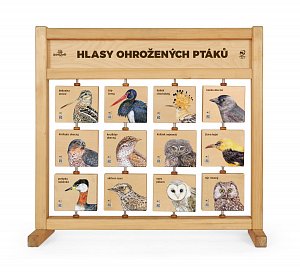 Hlasy ohrožených ptáků - Stolní