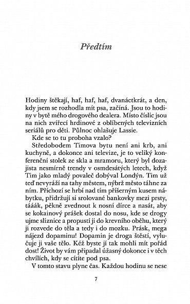 Náhled Ztratil se pes