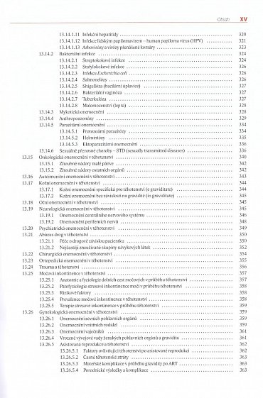 Náhled Moderní porodnictví