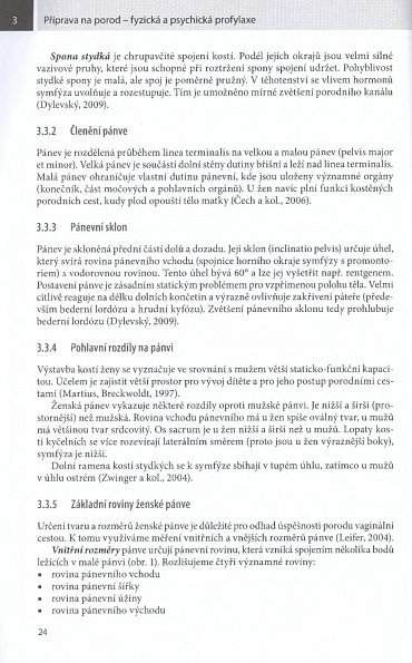 Náhled Příprava na porod - fyzická a psychická profylaxe