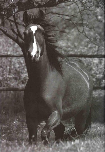 Náhled Když vzpomínky už nebolí!