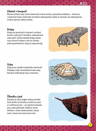 Náhled Příručka pro začínající dobrodruhy 2: Nebezpečná zvířata, nebezpečné rostliny, stopování, signalizace