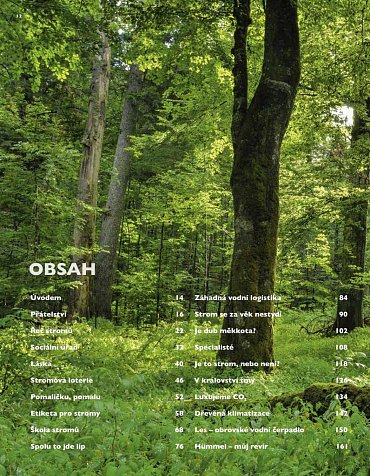 Náhled Tajný život stromů - Co cítí a jak komunikují