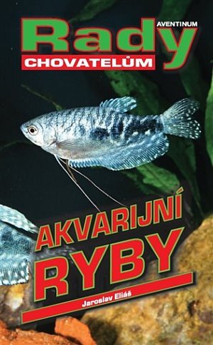 Akvarijní ryby - Rady chovatelům