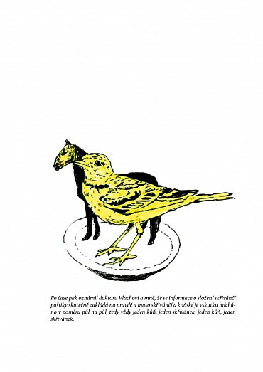 Náhled Saturnin se vrací