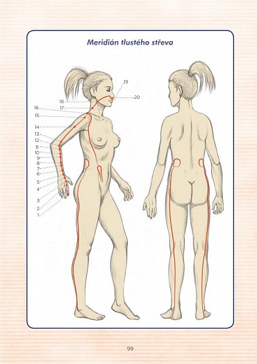 Náhled Vnitřní energie 7 čaker s mapami energetických meridiánů - Vesmírná harmonie, pět elementů, naslouchání vlastnímu tělu