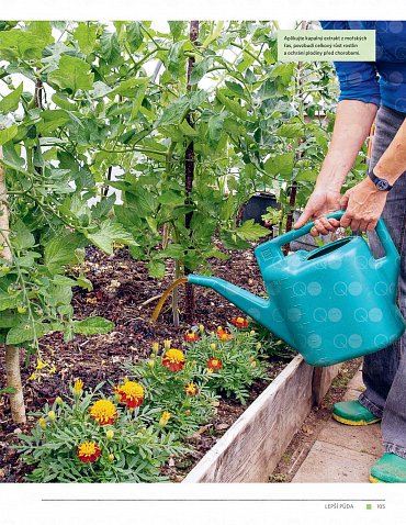 Náhled Moderní zahrada