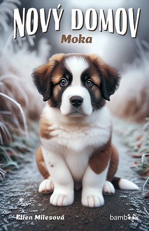 Nový domov - Moka