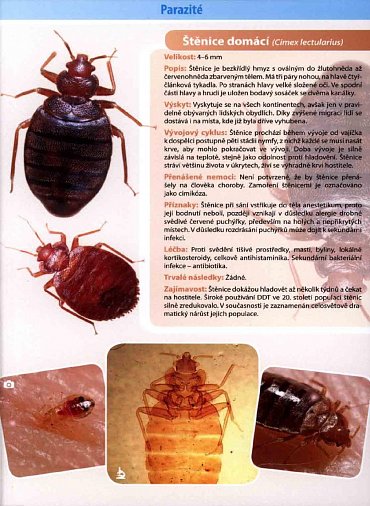 Náhled Parazité - Naučná karta