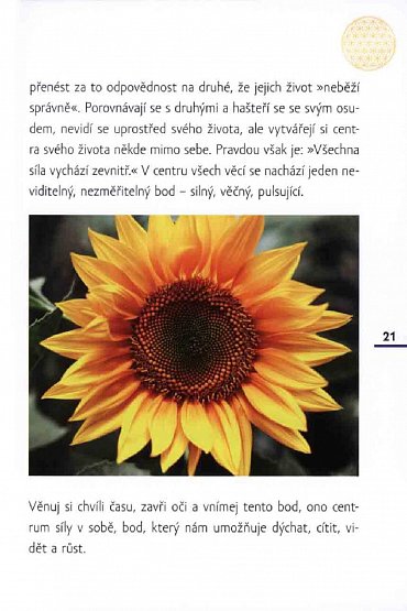 Náhled Květ života - Praktické zkušenosti a nové přístupy