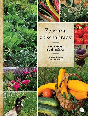 Náhled Zelenina z ekozahrady pro radost i soběstačnost