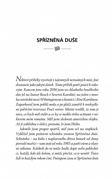 Náhled Spřízněná duše