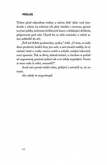 Náhled Oběť 2117, 1.  vydání