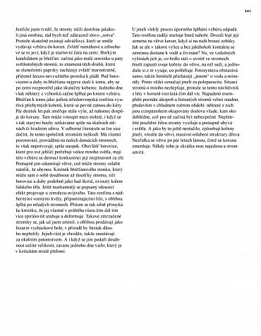 Náhled Tajný život stromů - Co cítí a jak komunikují