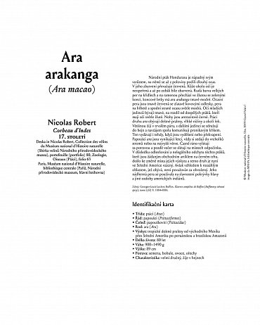 Náhled Bestiář: Pozvěte umění domů! 21 obrazů k zarámování