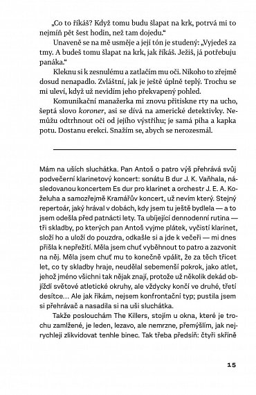 Náhled Sentimentální román