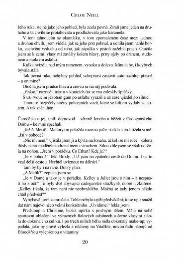 Náhled Upíři z Chicaga 10 - Krvavé hry