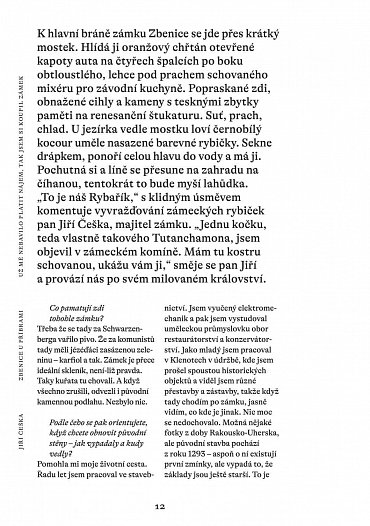 Náhled Aby po nás něco zůstalo: Zpověď novodobých zámeckých pánů