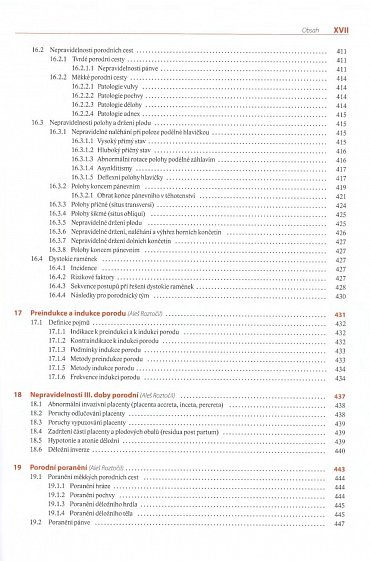 Náhled Moderní porodnictví