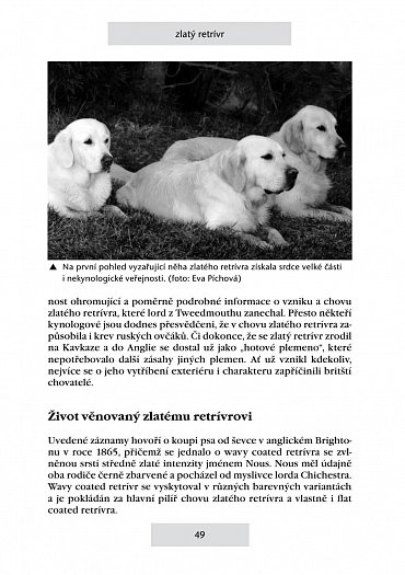 Náhled Retrívři a vodní psi