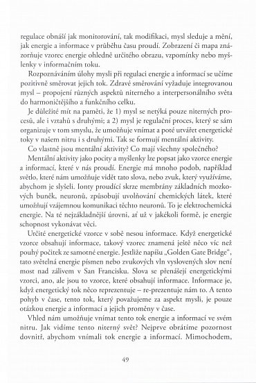 Náhled Rozbouřený mozek dospívání, teenageři a jejich výchova