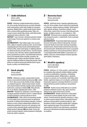 Náhled Velký průvodce lesem