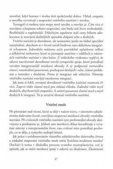 Náhled Rozbouřený mozek dospívání, teenageři a jejich výchova