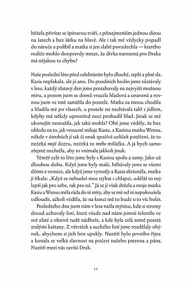 Náhled Ve stínu Hvozdu