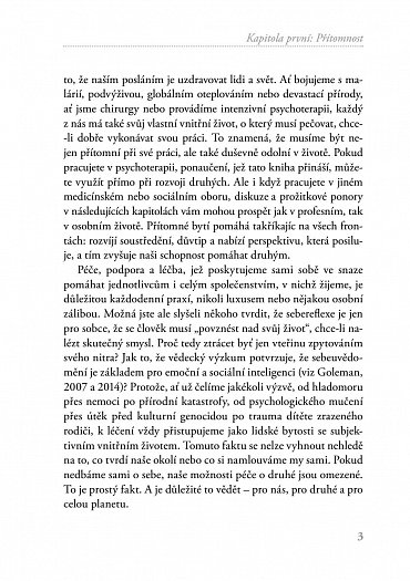 Náhled Všímavý terapeut - Vnitřní nazírání a nervová integrace - příručka pro klinickou praxi