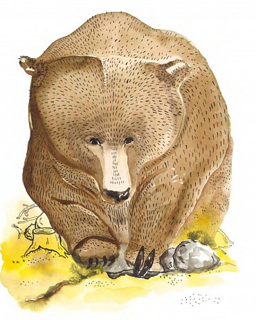 Náhled Levou zadní