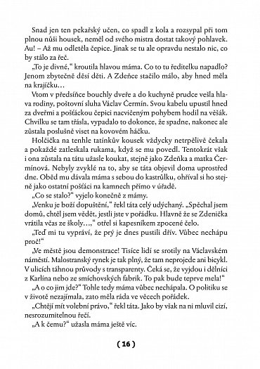 Náhled To je on! O té, co si říkala Toyen