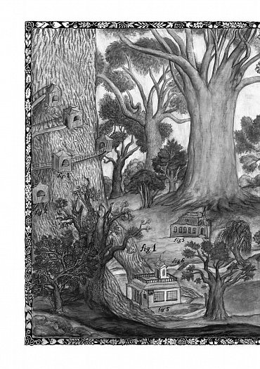 Náhled Rafaelova škola 5 - Vlasy dryád