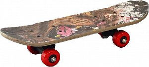 Skateboard Afrika 43cm