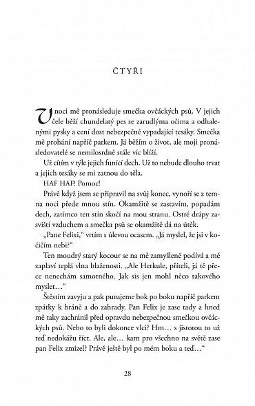 Náhled Jezevčíkovo štěstí