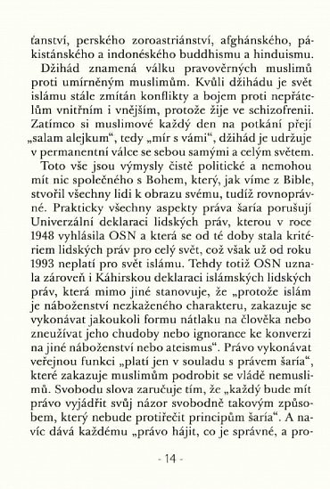 Náhled O islamizaci a demokracii v Egyptě