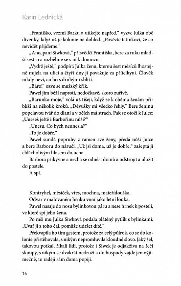 Náhled Šikmý kostel - Románová kronika ztraceného města, léta 1894-1921