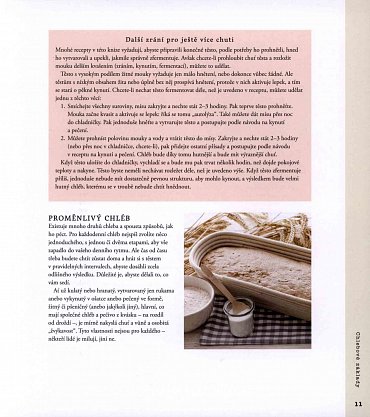 Náhled Kváskové pečení - Naučte se péct chléb a pečivo s kvásky