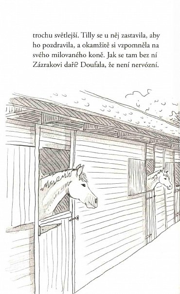 Náhled Neptun-kůň hrdina - Příběhy copaté Tilly 8