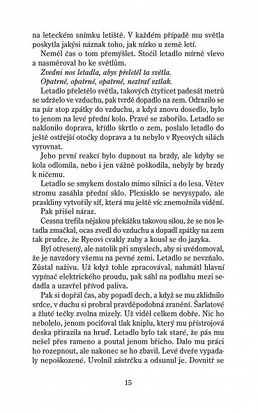 Náhled Střemhlavý pád