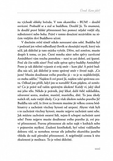 Náhled Zenový kompas