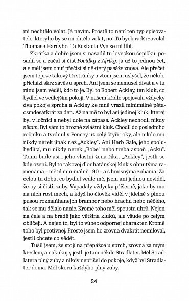 Náhled Kdo chytá v žitě