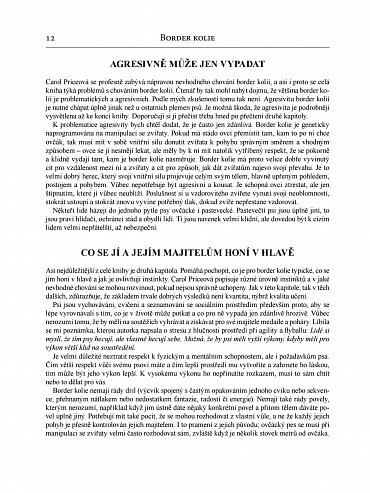 Náhled Border kolie od A do Z