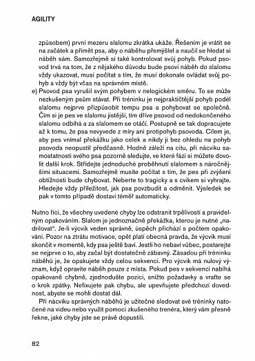 Náhled Agility pro pokročilé