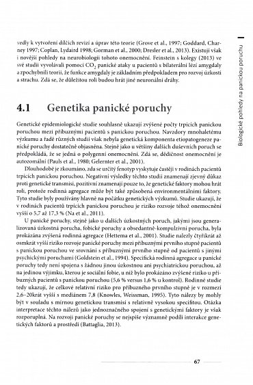 Náhled Panická porucha