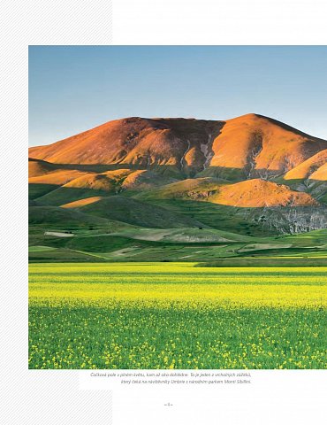 Náhled Vše jenom ne tradiční - Neobjevená Evropa