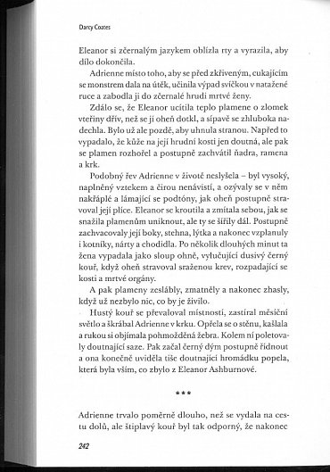 Náhled Duch domu Ashburnů